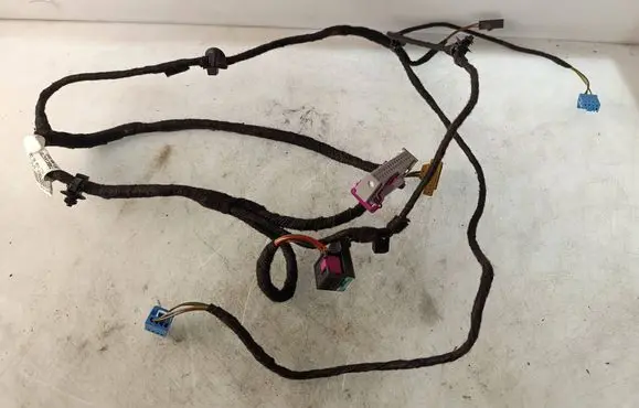 Volkswagen PASSAT B7 Front door wiring loom 3AB971557B