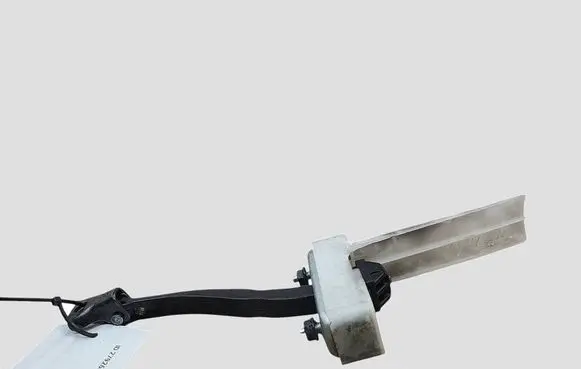 Lexus NX Rear door check strap stopper