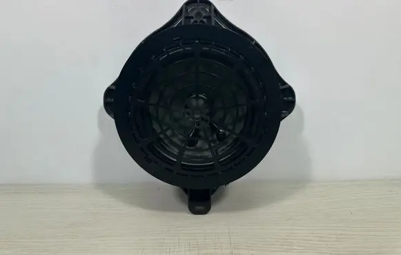 Citroen C5 X Front door speaker