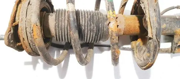 Front coil spring