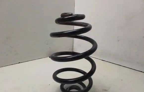 Volkswagen PASSAT B5.5 Rear coil spring