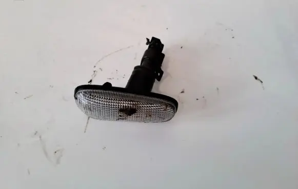 Front fender indicator light