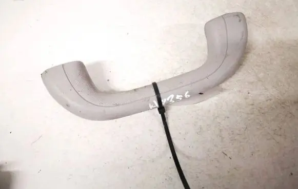 Front interior roof grab handle