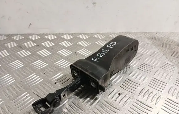 Volkswagen PASSAT B8 Front door check strap stopper 3G0837267
