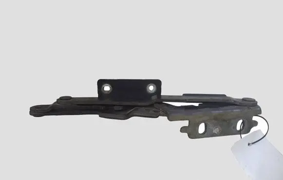 Peugeot 807 Engine bonnet/hood hinges 72407G4108