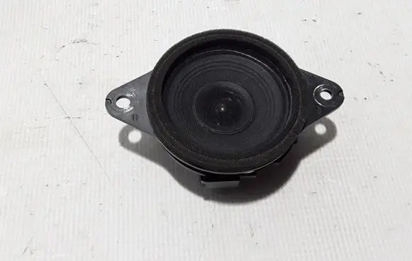 Panel speaker