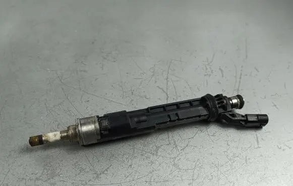 Dacia Jogger Fuel injector 166005550R