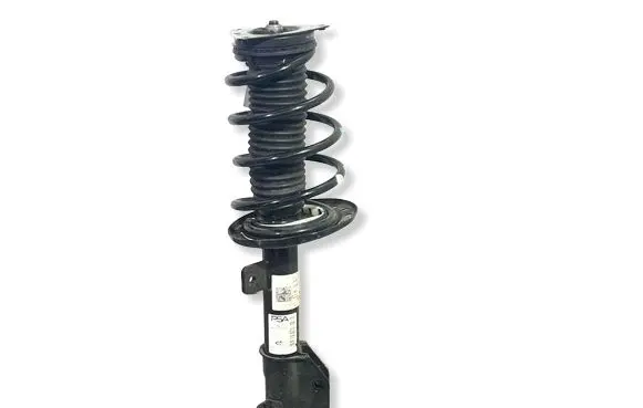 Opel Mokka B Front shock absorber with coil spring 9842691280