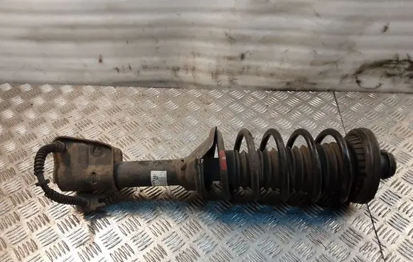 Land Rover Freelander Rear shock absorber with coil spring RPB101640