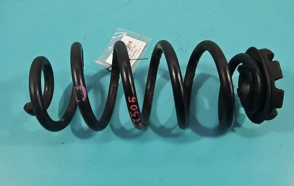 Rear coil spring