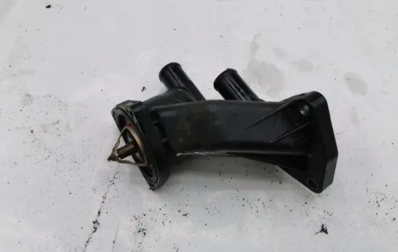 Thermostat/thermostat housing