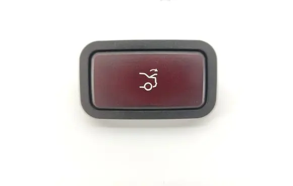 Mercedes-Benz S W221 Tailgate/boot open switch button 2208217251 31020301