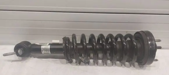 Ford F150 Front shock absorber/damper ML3418045