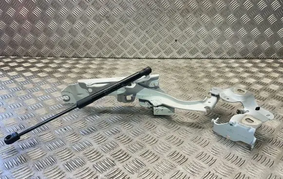 BMW 2 F45 Engine bonnet/hood hinges 7300521