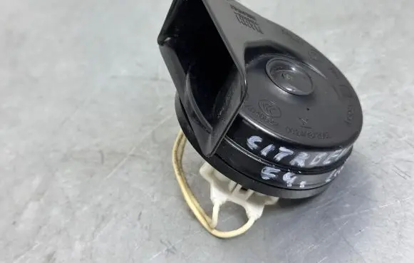 Citroen C4 SpaceTourer Horn signal 9815870780