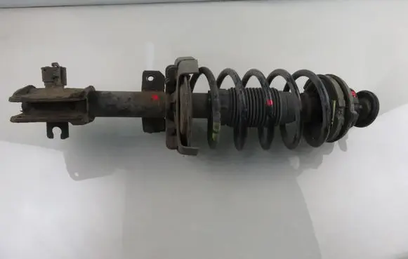 Fiat Stilo Front shock absorber with coil spring