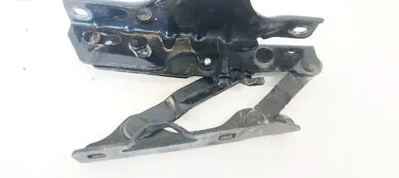 Tesla Model S Engine bonnet/hood hinges 102928500C