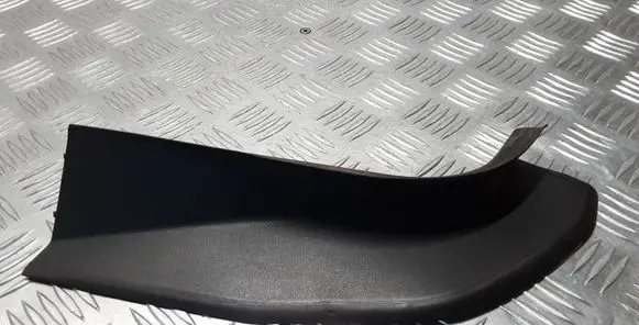 Rear/tail light trim molding