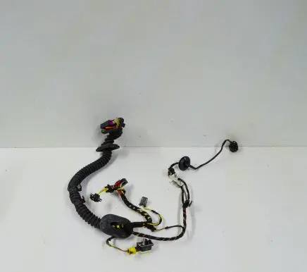 Porsche Cayenne (92A) Front door wiring loom 7P5971162T