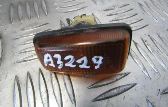 Citroen Xsara Front fender indicator light