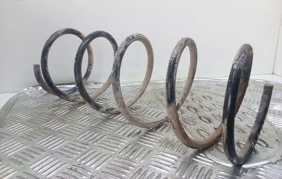 Ford Focus Front coil spring