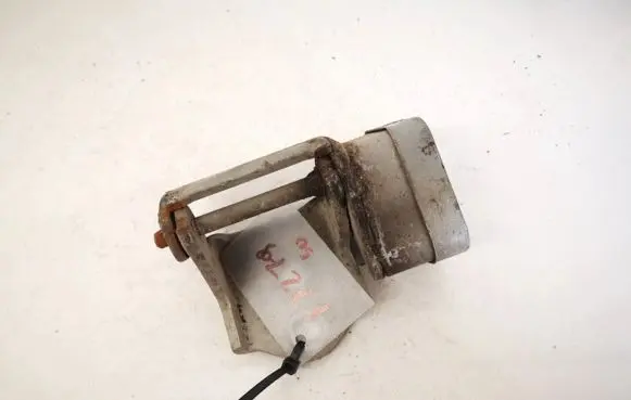 Renault Megane II Rear door lower hinge