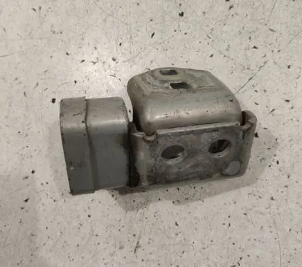 Renault Megane II Rear door lower hinge