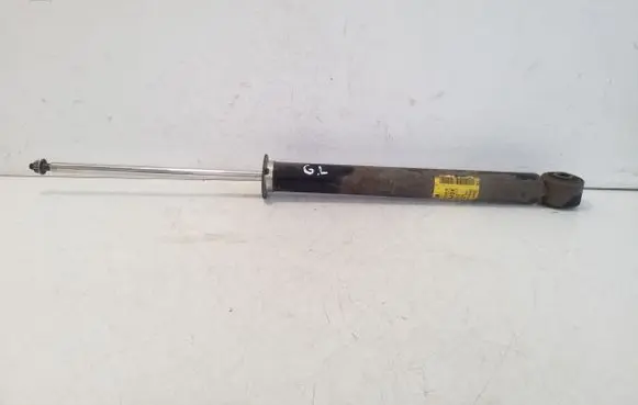 Opel Ampera Rear shock absorber/damper 22825519