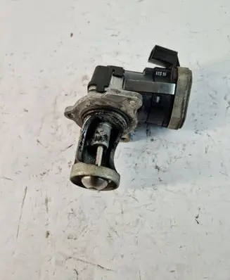 Seat Alhambra (Mk1) EGR valve 00403073a7