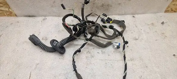 Renault Laguna III Front door wiring loom 241243343R 00077300