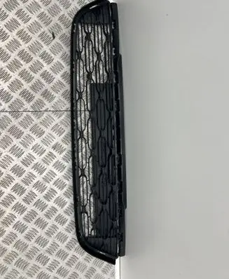 Front bumper lower grill