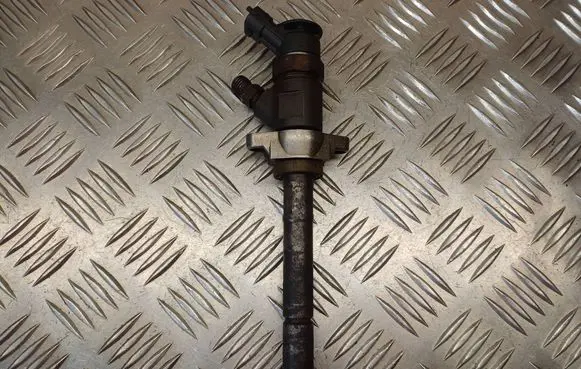Citroen Berlingo Fuel injector 0445110297