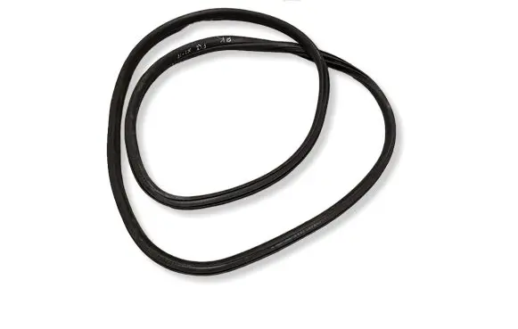 BMW X1 F48 F49 Front door rubber seal 7349628