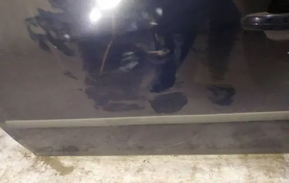 Ford C-MAX I Front door trim (molding) 