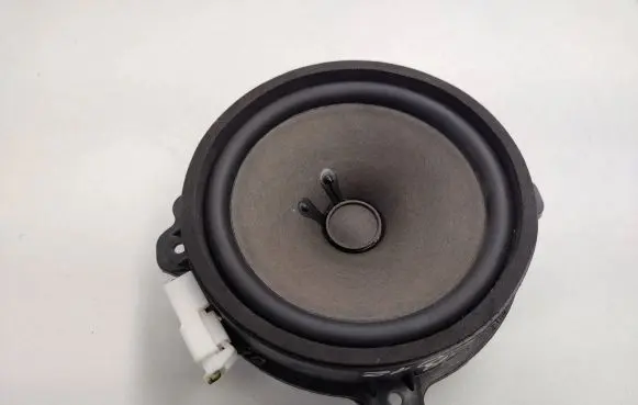 Chevrolet Captiva Front door speaker 25907868