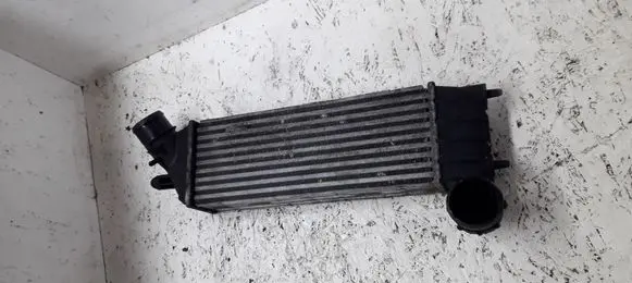 Fiat Ulysse Intercooler radiator 16020317