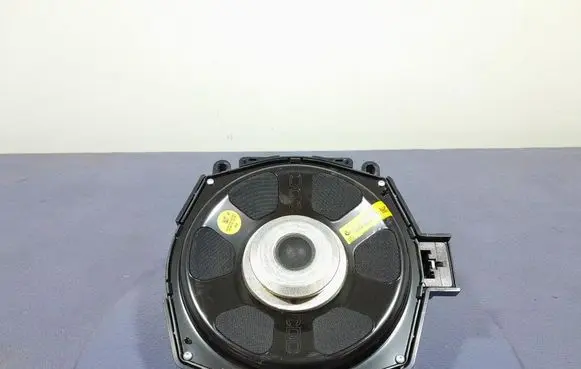 BMW X6 F16 Subwoofer speaker 7862551