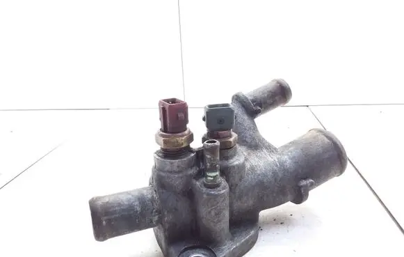 Thermostat/thermostat housing