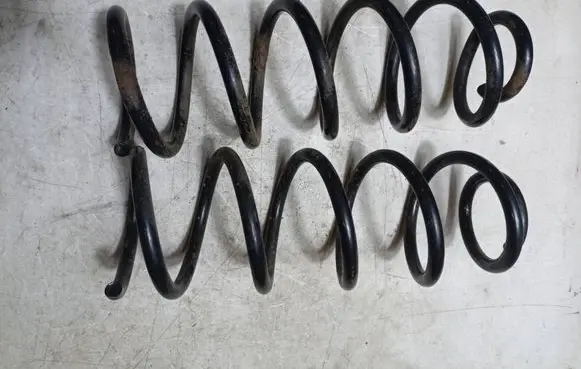 Rear coil spring