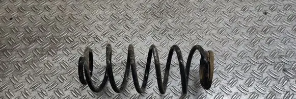 Rear coil spring