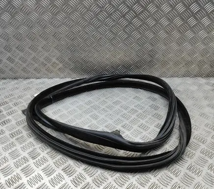 BMW 6 F06 Gran coupe Rubber seal front coupe door 7275297