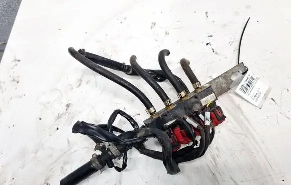 Volkswagen Golf IV LP gas injector VALTEK
