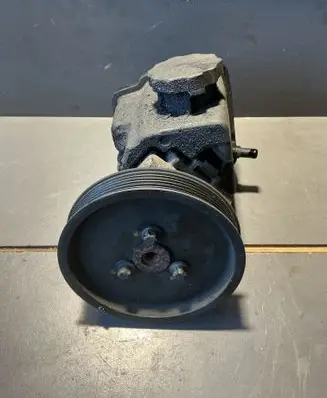 Mercedes-Benz S W220 Power steering pump 
