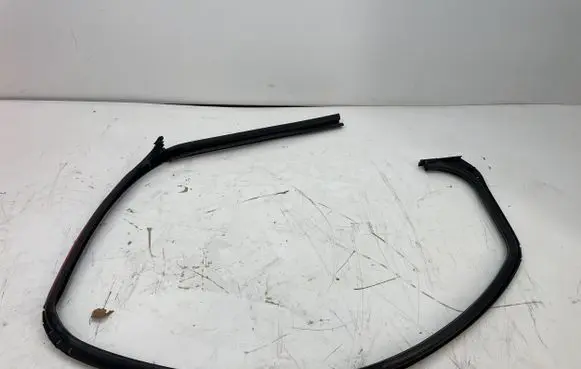 Renault Trafic III (X82) Rubber seal front door window/glass 
