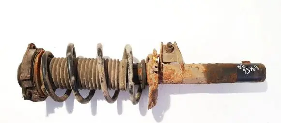 Volkswagen Golf V Front shock absorber/damper