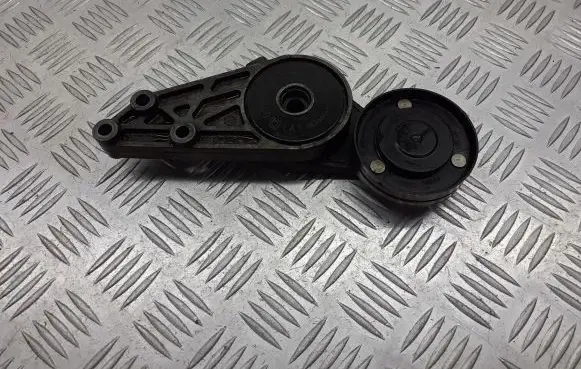 Volkswagen PASSAT B5.5 Alternator belt tensioner pulley 058903133