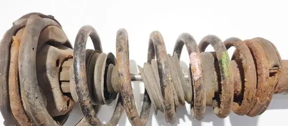 Front coil spring