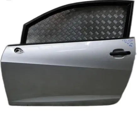 Seat Ibiza IV (6J,6P) Front door 