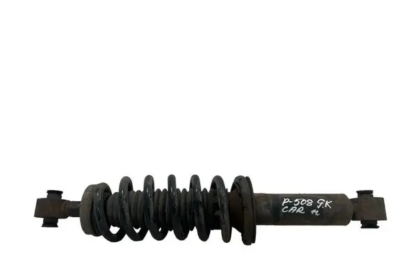 Peugeot 508 Rear shock absorber with coil spring 9651966980