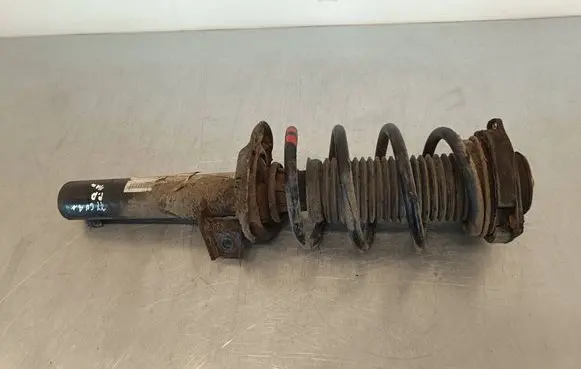 Volkswagen Tiguan Front shock absorber with coil spring